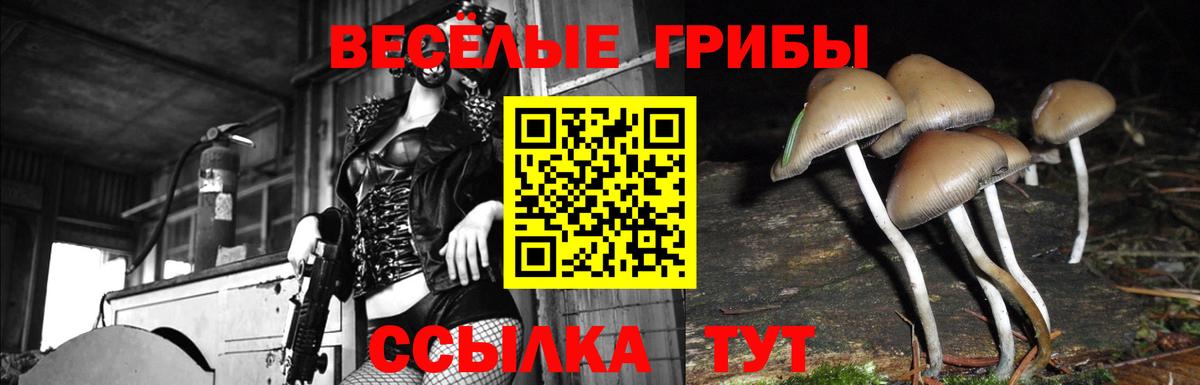 Псилоцибиновые грибы GOLDEN TEACHER  Вход с VPN  цены   Биробиджан 
