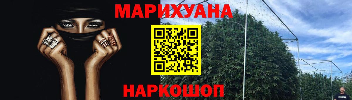 Конопля OG Kush Биробиджан